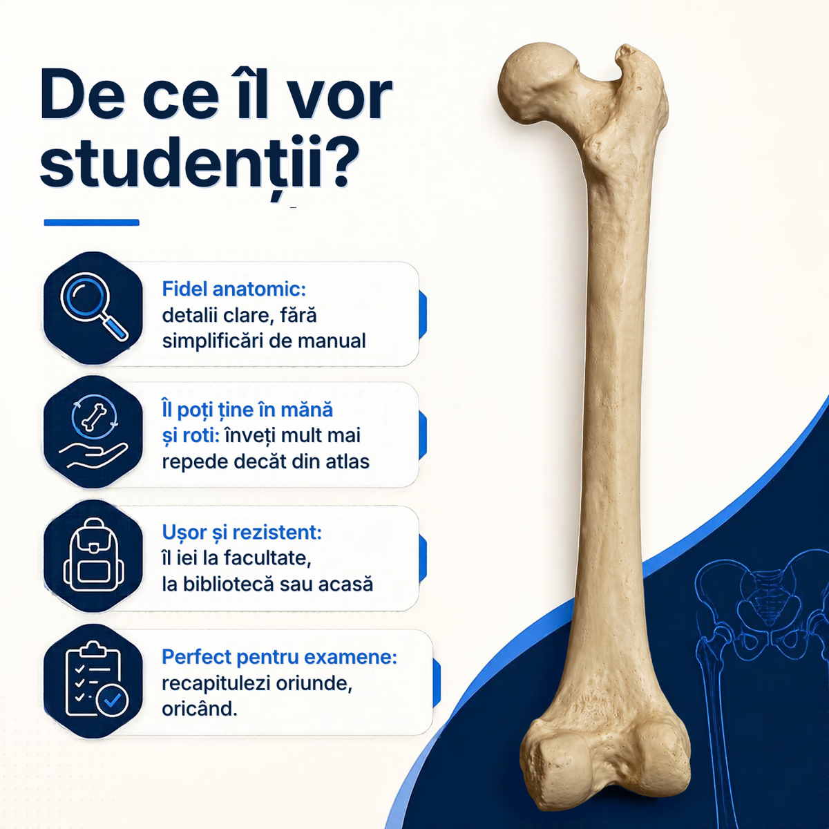 Femur